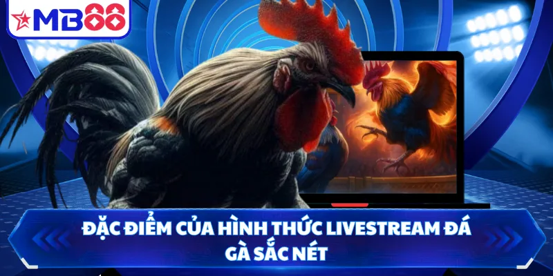 Đặc điểm của hình thức livestream đá gà sắc nét