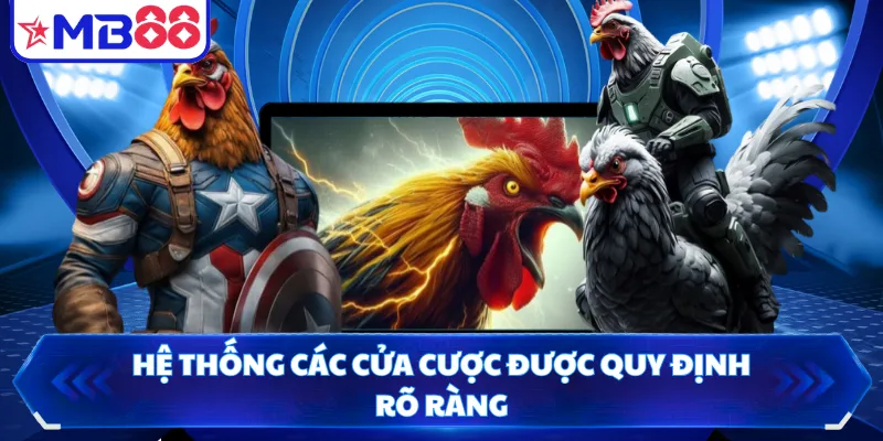 Hệ thống các cửa cược được quy định rõ ràng