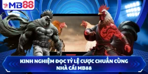 Kinh Nghiệm Đọc Tỷ Lệ Cược Chuẩn Cùng Nhà Cái MB88