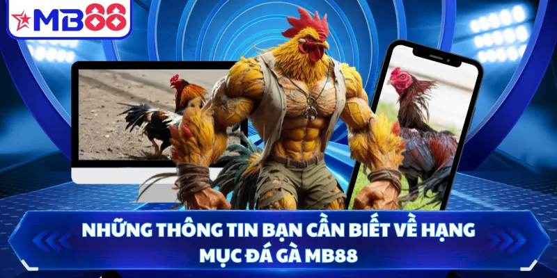 Những thông tin bạn cần biết về hạng mục đá gà MB88