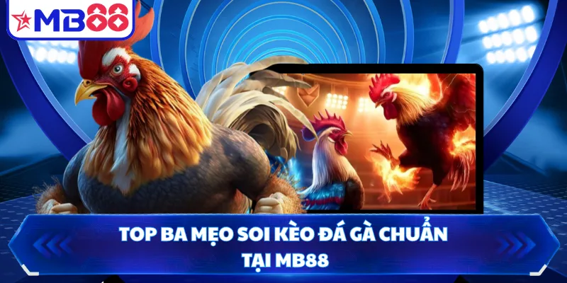 Top ba mẹo soi kèo đá gà chuẩn tại MB88
