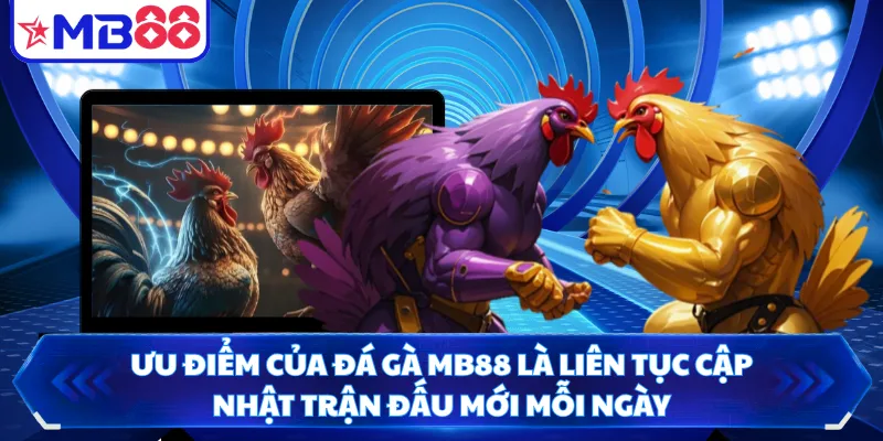 Ưu điểm của đá gà MB88 là liên tục cập nhật trận đấu mới mỗi ngày
